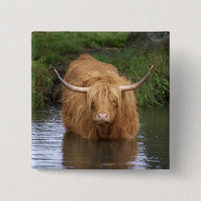 Highland Cattle Knapp (Framsida)
