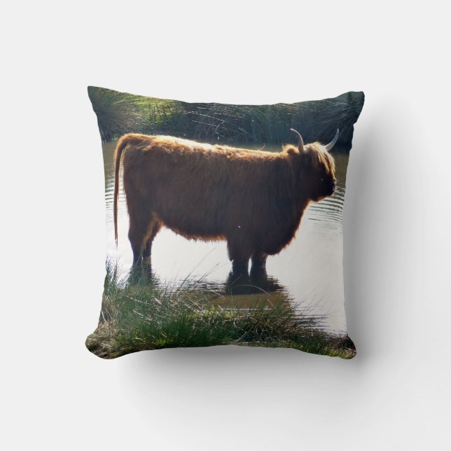Highland Cattle Kudde (Framsida)