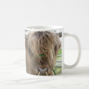 Highland Cattle mugg