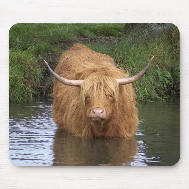 Highland Cattle Musmatta (Framsidan)