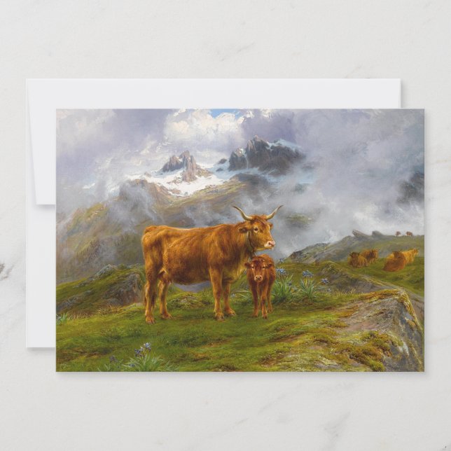 Highland Cattle | Rosa Bonheur (Framsida)