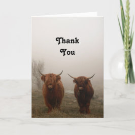 Highland Cattle Tack Kort
