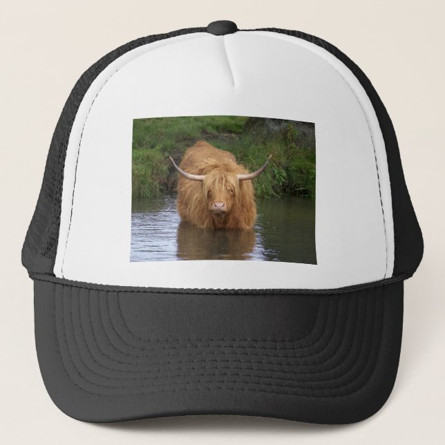 Highland Cattle Truckerkeps (Framsida)