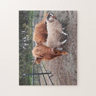 Highland Coos and Sheep Jigszle Puzzle Pussel