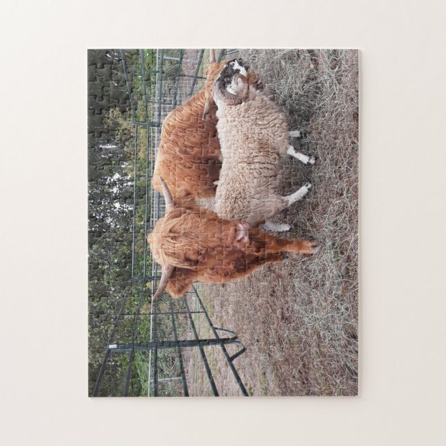 Highland Coos and Sheep Jigszle Puzzle Pussel (Vertikal)