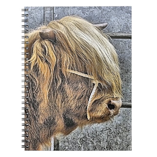 HIGHLAND COW ANTECKNINGSBOK (Framsidan)