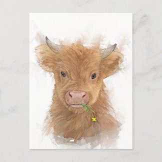 Highland Cow Calf Porträtt Vykort