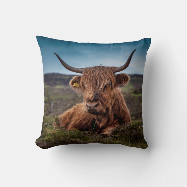 Highland Cow Dekorativ kudde (Framsida)