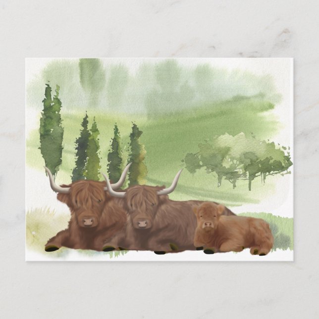 Highland Cow Family Watercolor Skottland Vykort (Framsida)