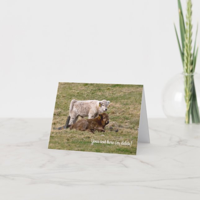 Highland Cow Greeting card Kort (Framsida)