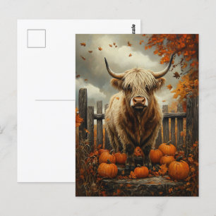 Highland Cow in Pumpkin Patch Vykort