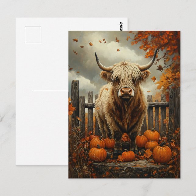 Highland Cow in Pumpkin Patch Vykort (Fram/baksida)
