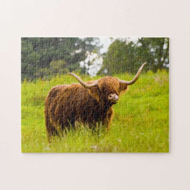 Highland Cow Jigszle puzzle Pussel (Horisontell)