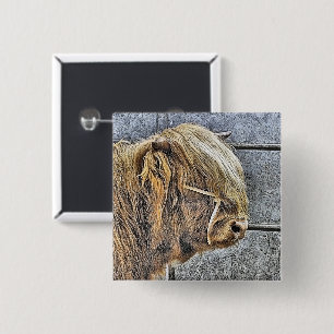 HIGHLAND COW KNAPP