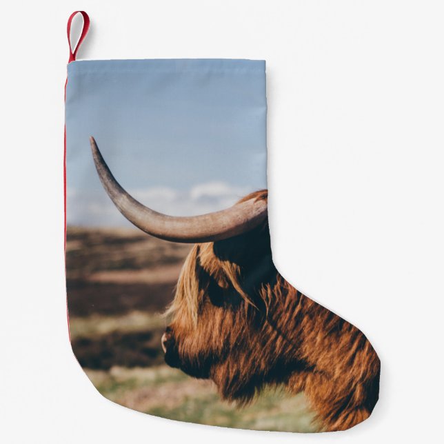 HIGHLAND COW LITEN JULSTRUMPA (Framsidan)