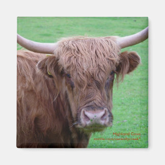 Highland Cow Magnet
