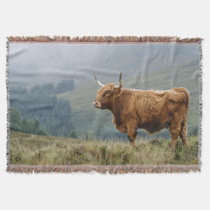 Highland Cow Misty Morgon Filt
