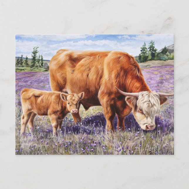 Highland Cow och Calf Lila Wildblommor Vykort (Framsida)