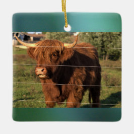 Highland Cow Photo Julgransprydnad Keramik