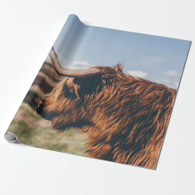 HIGHLAND COW PRESENTPAPPER (Utrullad)