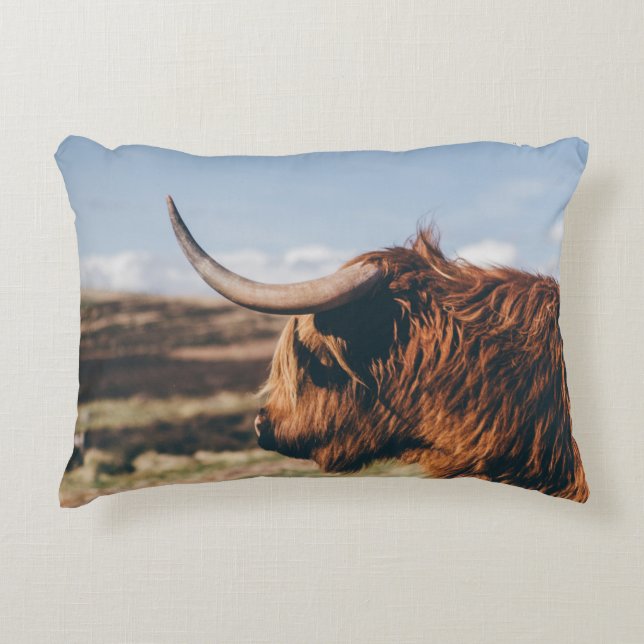 HIGHLAND COW PRYDNADSKUDDE (Framsidan)