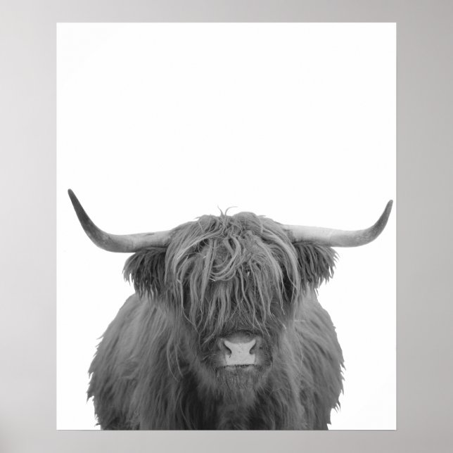 Highland Cow Scotland Rustic Black White Poster (Framsidan)