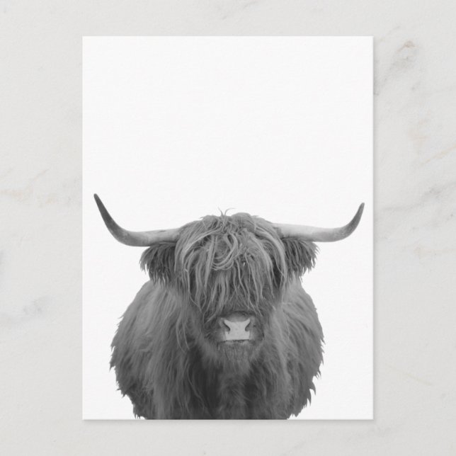 Highland Cow Scotland Rustic Black White Vykort (Framsida)