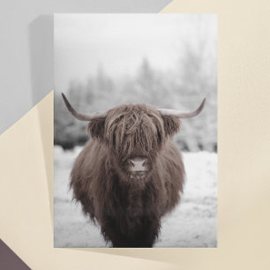 Highland Cow Scotland Rustic Farm Vykort