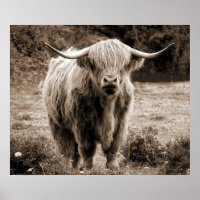  Highland Cow Skottland Rustik Brun monokrom 
