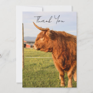 Highland Cow Thank You Card Tack Kort