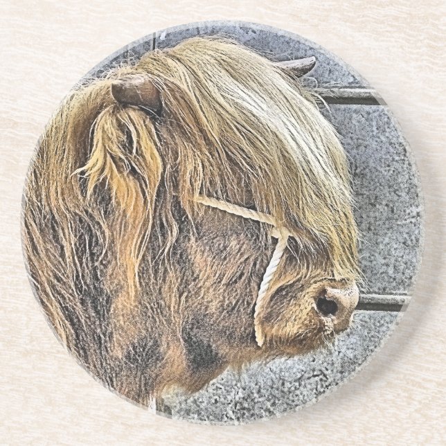 HIGHLAND COW UNDERLÄGG (Framsidan)
