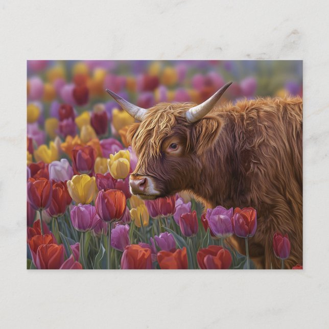 Highland Cow Vår Tulips Vykort (Framsida)