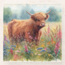 Highland Cow Watercolor Wildblomma Fält