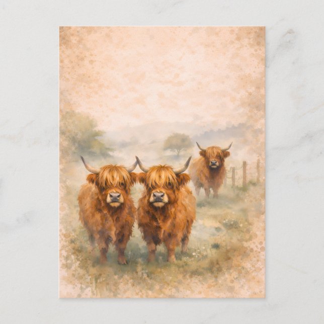 Highland Cow - Watercolour Animals Vykort (Framsida)