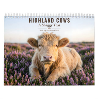 Highland Cows 2027 Shaggy Cow Farmhouse Decor Kalender