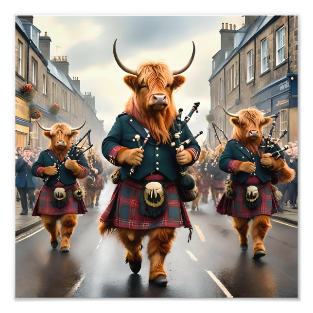 Highland Harmony: Bagpipe Highland Cow Band Fototryck (Framsidan)