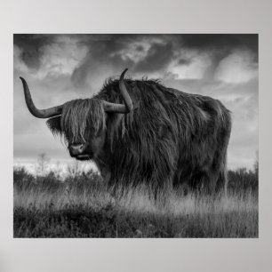 Highland Ko Scotland Rustik Brun monokrom  Affisc Poster