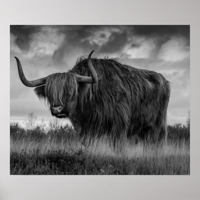  Highland Ko Scotland Rustik Brun monokrom  Affisc Poster (Framsidan)