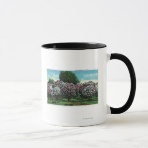 Highland Park lilor i blom Mugg