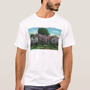 Highland Park lilor i blom T Shirt