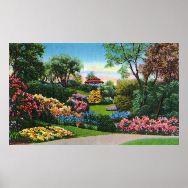Highland Park Rhododendrons in Bloom Poster (Framsidan)
