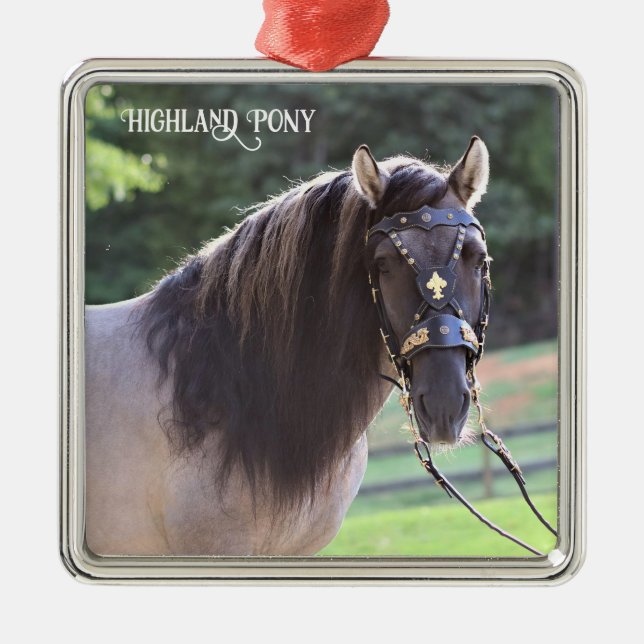 Highland Pony Ornament (Framsidan)
