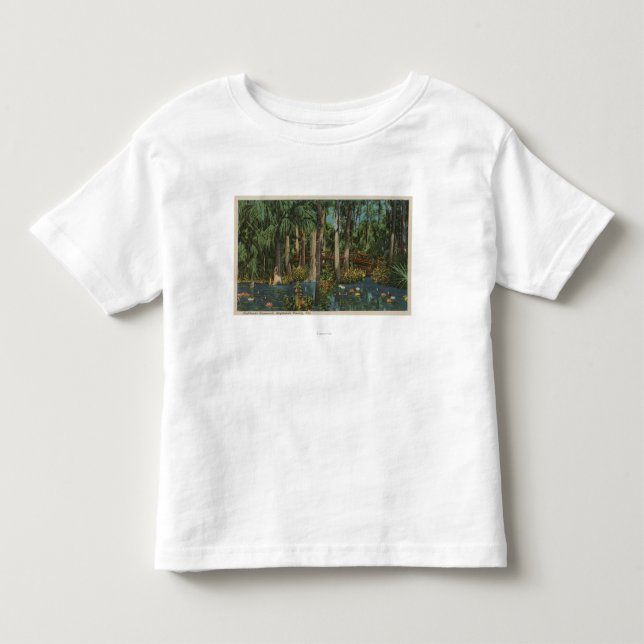 Highlands County FL - beskåda av Skotska Tee (Framsida)