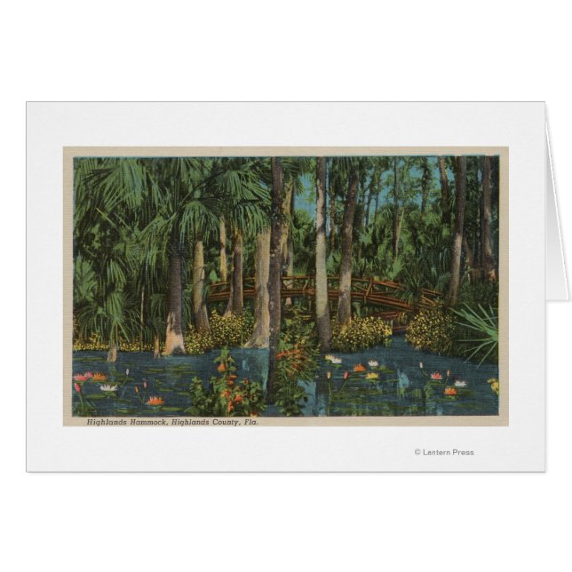 Highlands County, FL - View of Highlands Hammock Hälsningskort (Framsidan Horizontal)