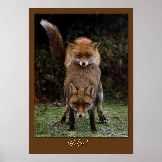 Hike! Poster (Framsidan)