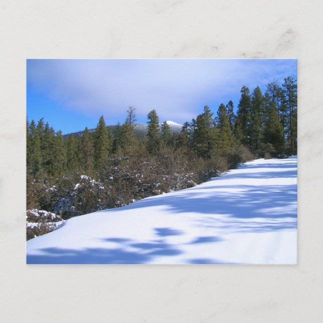 Hike to Hager Mountain Fire Lookout Vykort (Framsida)