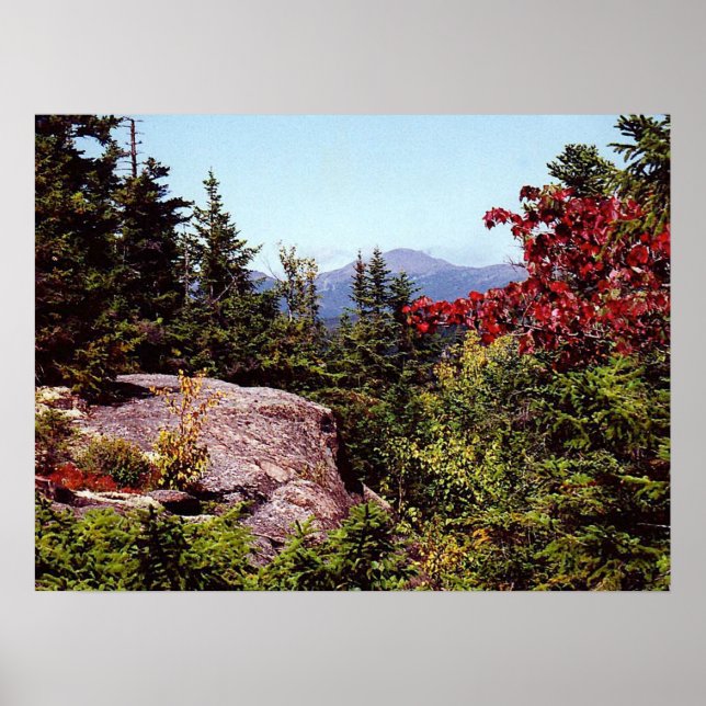 Hiking Scenia White Mountains New Hampshire Poster (Framsidan)