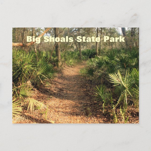 Hiking Trail, Big Shoals State Park, Florida Vykort (Framsida)