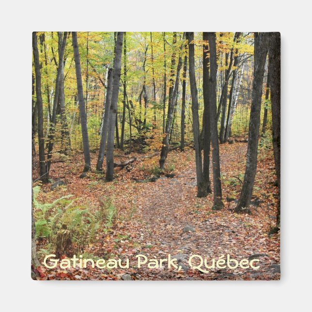 Hiking Trail in Autumn, Gatineau Park, Quebec. Magnet (Framsidan)