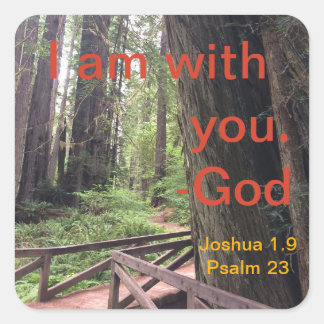 Hiking Trail Olympic nationalpark Fyrkantigt Klistermärke